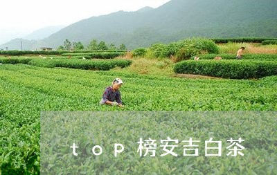 top榜安吉白茶/2023061446351