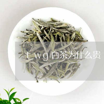 twg白茶为什么贵/2023071455926