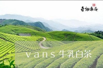 vans牛乳白茶/2023061476161