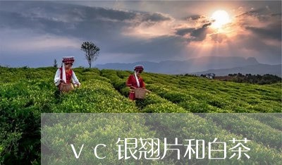 vc银翘片和白茶/2023061439502