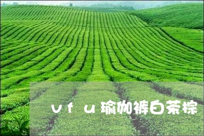 vfu瑜伽裤白茶棕/2023121683937