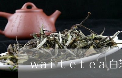 waitetea白茶/2023092707351