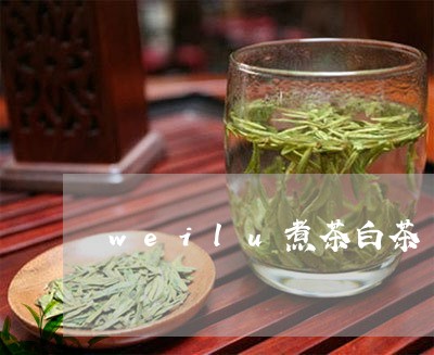 weilu煮茶白茶/2023071408482