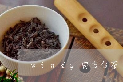 windy安吉白茶/2023121604959