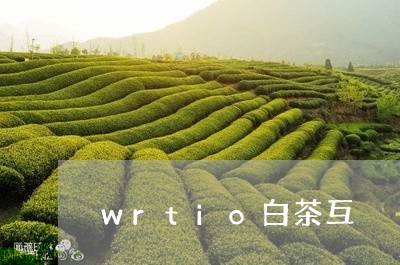 wrtio白茶互/2023061433604