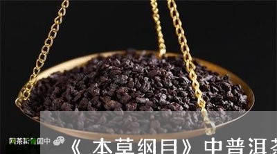 《本草纲目》中普洱茶/2023080259414