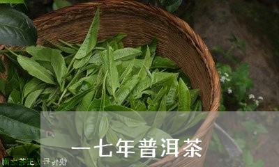 一七年普洱茶/2023042525673