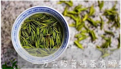 一万六的普洱茶有哪些/2023080242815