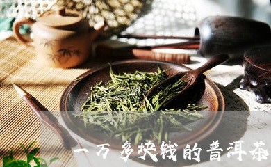 一万多块钱的普洱茶/2023120570703