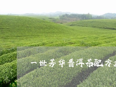 一世芳华普洱茶配方大全/2023050562947