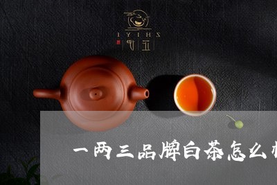 一两三品牌白茶怎么样/2023092730724