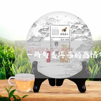 一两句普洱茶的感悟句/2023072115149