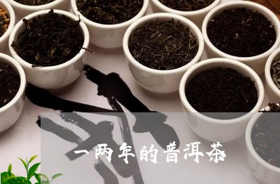 一两年的普洱茶/2023110583935