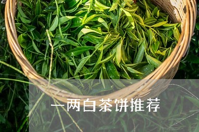 一两白茶饼推荐/2023082692926