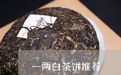 一两白茶饼推荐/2023111726058