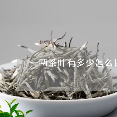 一两茶叶有多少怎么抓/2023092336050