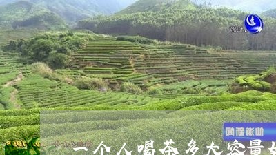 一个人喝茶多大容量好/2023092148280