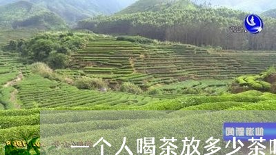 一个人喝茶放多少茶叶/2023061132958