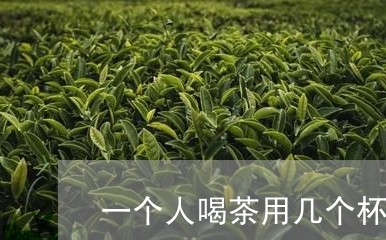 一个人喝茶用几个杯子/2023092125181