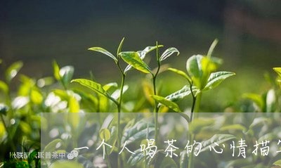 一个人喝茶的心情描写/2023060813918