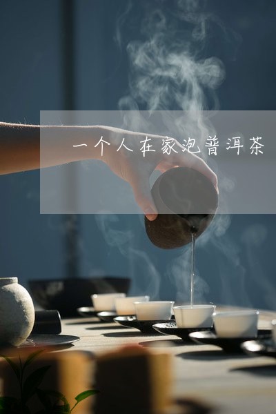 一个人在家泡普洱茶/2023120597171