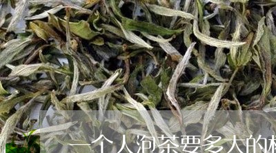 一个人泡茶要多大的杯/2023071593614