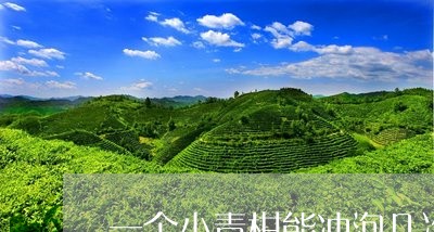 一个小青柑能冲泡几次/2023071664826