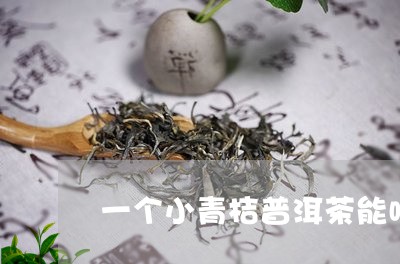 一个小青桔普洱茶能喝几天/2023051002606