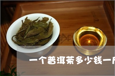 一个普洱茶多少钱一斤/2023092506068