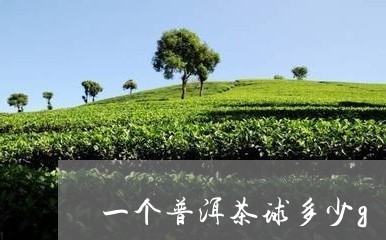 一个普洱茶球多少g/2023110573827