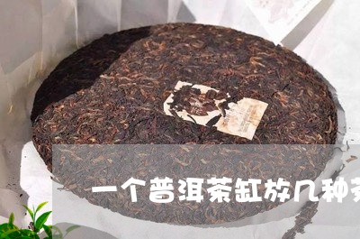 一个普洱茶缸放几种茶/2023061798591