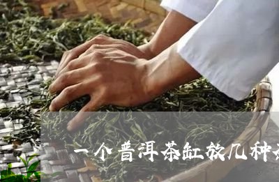 一个普洱茶缸放几种茶/2023092826169