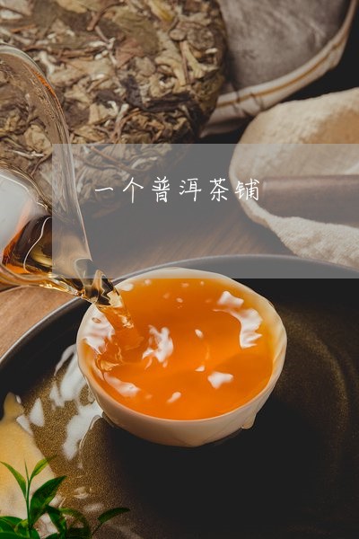 一个普洱茶铺/2023090630502