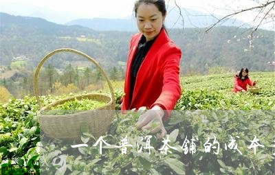 一个普洱茶铺的成本多少钱/2023082885371