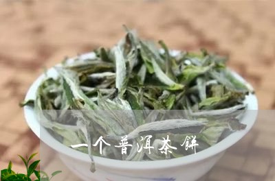 一个普洱茶饼/2023042896953