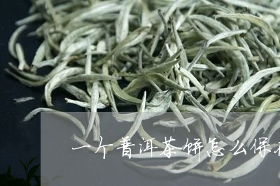 一个普洱茶饼怎么保存/2023092740605