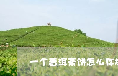 一个普洱茶饼怎么存放/2023092769593