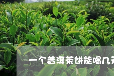 一个普洱茶饼能喝几天/2023092666927