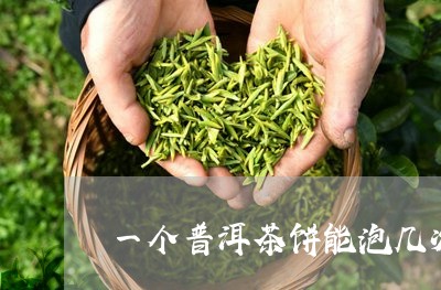 一个普洱茶饼能泡几次/2023061563827