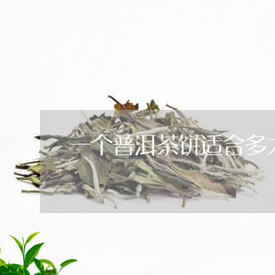 一个普洱茶饼适合多大的罐子/2023052957260