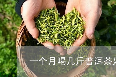 一个月喝几斤普洱茶好吗/2023050558460