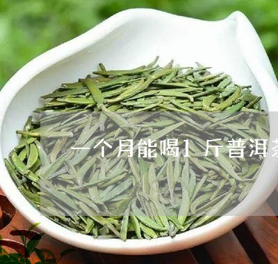 一个月能喝1斤普洱茶/2023092526149