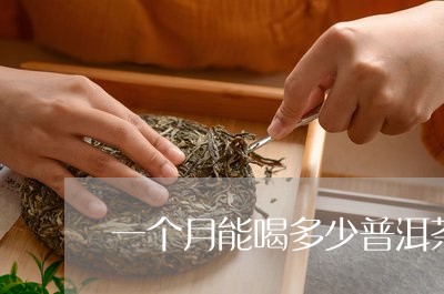 一个月能喝多少普洱茶/2023061419593