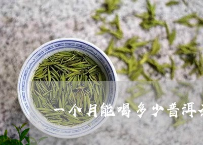 一个月能喝多少普洱茶/2023092590515