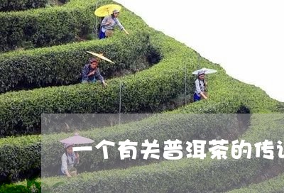 一个有关普洱茶的传说/2023061888148