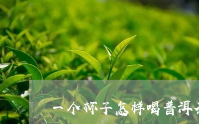 一个杯子怎样喝普洱茶/2023092984837