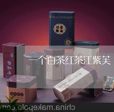 一个白茶红茶江紫芙/2023071432815