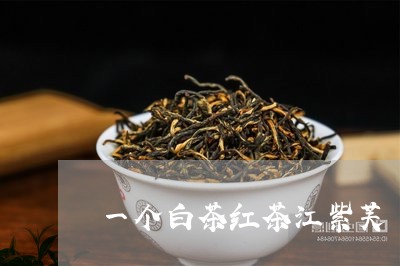 一个白茶红茶江紫芙/2023121650692