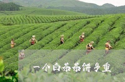 一个白茶茶饼多重/2023061479482