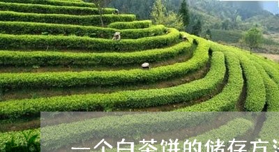 一个白茶饼的储存方法/2023092769692